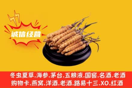 大兴安岭塔河县回收冬虫夏草